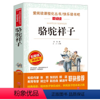 骆驼祥子 [正版]骆驼祥子原著小学生课外阅读书籍四大名著三国演义西游记红楼梦水浒传汤姆索亚历险记尼尔斯骑鹅旅行记鲁滨逊漂