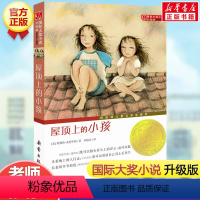 屋顶上的小孩 [正版]女水手日记 国际大奖小说系列升级版 艾非著纽伯瑞儿童文学奖银奖读物3-10岁小学生二三四五六年级课