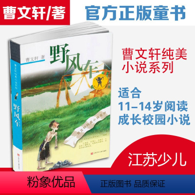 [正版]野风车全套曹 纯美小说系列 初中小学生课外阅读 书籍三四五六年级经典书目江苏凤凰少年儿童出版社安徒生儿童文学大