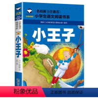 小王子 [正版]5本20元洋葱头历险记 注音彩图版 一二三年级小学生语文课外阅读6-7-8-9岁 儿童课外读物带拼音