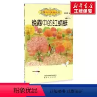 [正版]晚霞中的红蜻蜓 谢倩霓 儿童6-12周岁小学生一二三四五六年级课外阅读经典文学故事书目书店书籍