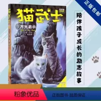 四部曲-4月光启示 [正版]猫武士全套42册 第一二三四五六七部曲全套 传奇的猫族儿童中小学生动物小说小学生课外阅读书籍