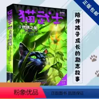 五部曲-4燃烧之星 [正版]猫武士全套42册 第一二三四五六七部曲全套 传奇的猫族儿童中小学生动物小说小学生课外阅读书籍