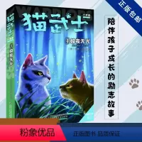 六部曲-4极夜无光 [正版]猫武士全套42册 第一二三四五六七部曲全套 传奇的猫族儿童中小学生动物小说小学生课外阅读书籍