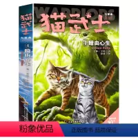 七部曲-4暗由心生 [正版]猫武士全套42册 第一二三四五六七部曲全套 传奇的猫族儿童中小学生动物小说小学生课外阅读书籍