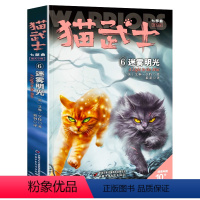 七部曲-6迷雾明光 [正版]猫武士全套42册 第一二三四五六七部曲全套 传奇的猫族儿童中小学生动物小说小学生课外阅读书籍