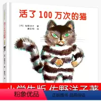 活了一百万次的猫 绘本 [正版]大盗贼书4册 唱歌的咖啡磨+危险的沼泽地+奇幻水晶球 小学生课外书二十一世纪出版社普鲁士