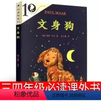 文身狗 二十一世纪出版社 [正版]大盗贼书4册 唱歌的咖啡磨+危险的沼泽地+奇幻水晶球 小学生课外书二十一世纪出版社普鲁