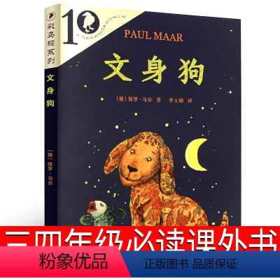 文身狗 二十一世纪出版社 [正版]大盗贼书4册 唱歌的咖啡磨+危险的沼泽地+奇幻水晶球 小学生课外书二十一世纪出版社普鲁