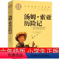 汤姆索亚历险记 [正版]大盗贼书4册 唱歌的咖啡磨+危险的沼泽地+奇幻水晶球 小学生课外书二十一世纪出版社普鲁士勒作品典