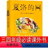 夏洛的网 上海译文出版社 [正版]大盗贼书4册 唱歌的咖啡磨+危险的沼泽地+奇幻水晶球 小学生课外书二十一世纪出版社普鲁