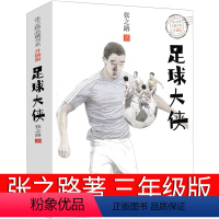 足球大侠 浙江少年儿童出版社 [正版]大盗贼书4册 唱歌的咖啡磨+危险的沼泽地+奇幻水晶球 小学生课外书二十一世纪出版社