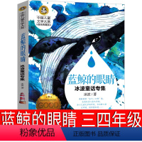 蓝鲸的眼睛 冰波著 [正版]大盗贼书4册 唱歌的咖啡磨+危险的沼泽地+奇幻水晶球 小学生课外书二十一世纪出版社普鲁士勒作