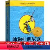 帅狗杜明尼克 威廉史代格著 [正版]大盗贼书4册 唱歌的咖啡磨+危险的沼泽地+奇幻水晶球 小学生课外书二十一世纪出版社普