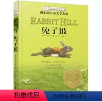兔子坡 [正版]十岁那年/长青藤国际大奖小说书系 7-8-9-10-12岁三四五六年级小学生课外阅读书籍 儿童文学校园励