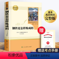 [单本]钢铁是怎样炼成的 [正版]八年级课外书籍必读下册名著阅读全套8册 钢铁是怎样炼成的和傅雷家书人教版八下语文课外书