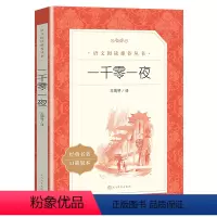 一千零一夜 [正版]一千零一夜 原著 世界名著经典童话故事读物 小学生二三四五年级课外书必读书目 语文阅读书籍 人民文学