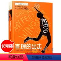 [乔西前传]查理的出击 [正版]长青藤国际大奖小说书系 第六辑 乔希的球场查理的出击 10-14岁 小学生课外书 五六年