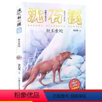 [05]豺王索坨 [正版]狼王梦注音版沈石溪动物小说系列注音读本斑羚飞渡第七条猎狗 一二三四年级小学生课外阅读书籍6-9