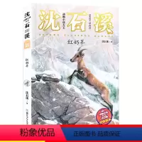 [15]红奶羊 [正版]狼王梦注音版沈石溪动物小说系列注音读本斑羚飞渡第七条猎狗 一二三四年级小学生课外阅读书籍6-9-