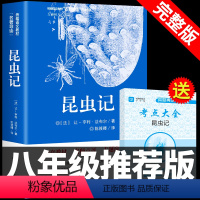 [老师推荐完整版]昆虫记 送考点大全 [正版]昆虫记法布尔原著完整版必读八年级课外书适合中学生阅读的名著书籍初中生初二上