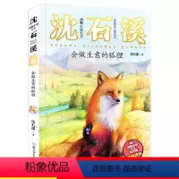 [04]会做生意的狐狸 [正版]狼王梦注音版沈石溪动物小说系列注音读本斑羚飞渡第七条猎狗 一二三四年级小学生课外阅读书籍