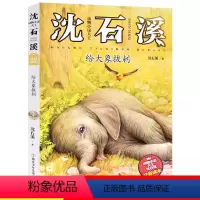 [10]给大象拔刺 [正版]狼王梦注音版沈石溪动物小说系列注音读本斑羚飞渡第七条猎狗 一二三四年级小学生课外阅读书籍6-