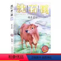 [13]母牛蓝铃 [正版]狼王梦注音版沈石溪动物小说系列注音读本斑羚飞渡第七条猎狗 一二三四年级小学生课外阅读书籍6-9