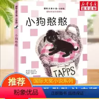 小狗憨憨(注音版) [正版]亲爱的汉修先生 注音版 大奖小说小学生一二年级课外书 7-10岁小学生三四五年级课外书读物