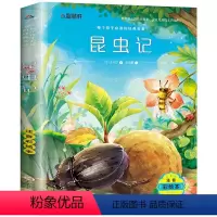 昆虫记[任选4本25元] [正版]钢铁是怎样炼成的注音版小学生一年级二年级三四五年级课外阅读必读书6-7-8-9-10-
