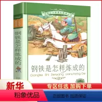 [正版] 钢铁是怎样炼成的 书 二十一世纪出版社 彩图注音版 小学生丛书适合6-7-8-9-10岁儿童课外阅读书籍