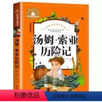 汤姆索亚历险记 [正版] 愿望的实现注音版泰戈尔著 二年级快乐读书吧书目 6-7-9岁小学生一二年级课外阅读书籍故事书夏