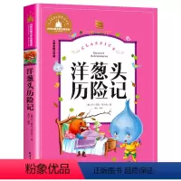 洋葱头历险记 [正版] 愿望的实现注音版泰戈尔著 二年级快乐读书吧书目 6-7-9岁小学生一二年级课外阅读书籍故事书夏洛