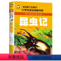 昆虫记 [正版]5本20元 歇后语大全 名校班主任 彩图注音儿童文学6-7-8-9-10岁带拼音小学生语文一二三年级