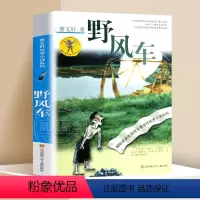 ❤野风车 [正版]蜻蜓眼 曹文轩纯美小说系列儿童校园文学青少版小学生课外阅读书籍8-9-10-12-15岁读物凤凰书店