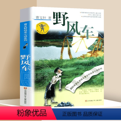❤野风车 [正版]蜻蜓眼 曹文轩纯美小说系列儿童校园文学青少版小学生课外阅读书籍8-9-10-12-15岁读物凤凰书店