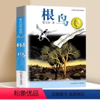 ❤根鸟 [正版]蜻蜓眼 曹文轩纯美小说系列儿童校园文学青少版小学生课外阅读书籍8-9-10-12-15岁读物凤凰书店