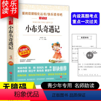 [五年级选读]小布头奇遇记 [正版]四大名著小学生版全套4册 西游记原著快乐读书吧五年级下册课外书阅读老师青少年儿童三国