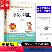 [五年级选读]小布头奇遇记 [正版]四大名著小学生版全套4册 西游记原著快乐读书吧五年级下册课外书阅读老师青少年儿童三国