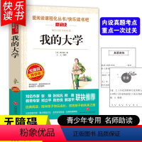 [五年级选读]我的大学 [正版]四大名著小学生版全套4册 西游记原著快乐读书吧五年级下册课外书阅读老师青少年儿童三国演义