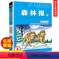 森林报·冬 [正版]尼尔斯骑鹅旅行记(彩图注音版) 6-7-8-9岁儿童课外书小学生一年级读故事书二年三年级课外读物书籍