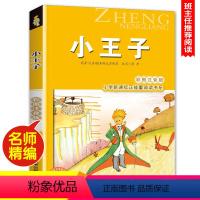 小王子 [正版]尼尔斯骑鹅旅行记(彩图注音版) 6-7-8-9岁儿童课外书小学生一年级读故事书二年三年级课外读物书籍正能