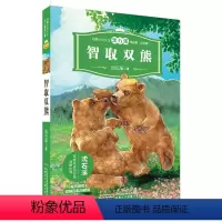 智取双熊 [正版]动物小说大王沈石溪精品集 注音版全套4册 狼獾与少年 虎女蒲公英智取双熊 6-12岁 文学动物小说故事