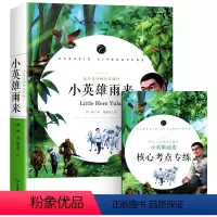 小英雄雨来 管桦著 [正版]居里夫人的故事 埃列娜·杜尔利 著 小学生三年级四年级五年级必读课外书阅读书籍经典指导目录老