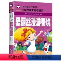 [彩图注音]爱丽斯漫游奇境 [正版]5本25元名校班主任 十万个为什么 彩图注音儿童文学6-7-8-9-10岁带拼音小