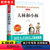 [三年级选读]大林和小林 [正版]小布头奇遇记孙幼军 三年级课外书四年级课外阅读书籍经典书目儿童读物小学生2二年级非注音