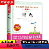 [三年级选读]青鸟 [正版]小布头奇遇记孙幼军 三年级课外书四年级课外阅读书籍经典书目儿童读物小学生2二年级非注音小布偶