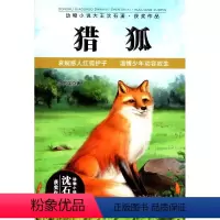 [正版]动物小说大王沈石溪·获奖作品:猎狐沈石溪 著9787556214136湖南少年儿童