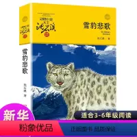 [正版]雪豹悲歌 沈石溪动物小说品藏书系升级版 小学生课外阅读书籍6-12岁青少年版儿童文学三四五六年级阅读儿童文学