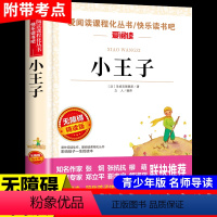 [无障碍阅读]小王子 [正版]大林和小林张天翼 小学生三年级四年级五年级上册下册阅读课外书必读的书籍 老师儿童文学全集宝